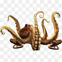 ���׶���-������