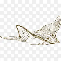 手绘海洋生物-空若网 手绘海洋生物-空若网