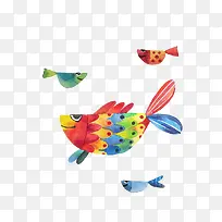 彩色的鱼-空若网 彩色的鱼-空若网