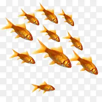 海底动物-空若网 海底动物-空若网