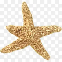 海底动物-空若网 海底动物-空若网