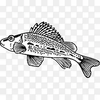 手绘 鱼-空若网 手绘 鱼-空若网