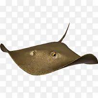 海底动物-空若网 海底动物-空若网