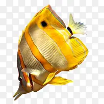 海底动物-空若网 海底动物-空若网