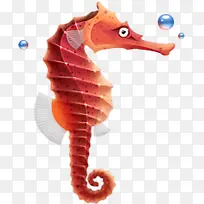 海底动物-空若网 海底动物-空若网