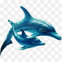 海底动物-空若网 海底动物-空若网