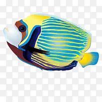 ��ɫ����-������