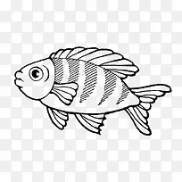 ��ͨ������-������