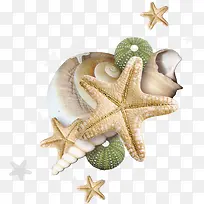 海底动物-空若网 海底动物-空若网