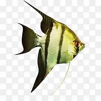 ���׶���-������