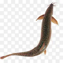 �������㺣��ʳ��-������