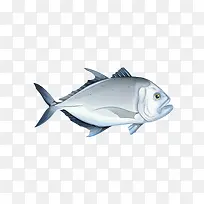 �ɰ���С������ز�-������