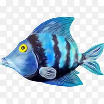 海底动物-空若网 海底动物-空若网