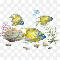 海底动物-空若网 海底动物-空若网