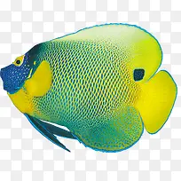 ���׶���-������