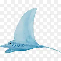 手绘海洋生物-空若网 手绘海洋生物-空若网