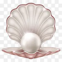 海底动物-空若网 海底动物-空若网