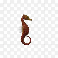 自然3d卡通-空若网 自然3d卡通-空若网