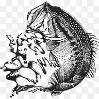 �Ұ׿�ͨ��-������