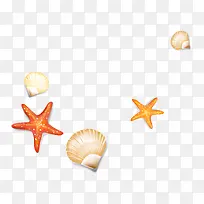 手绘贝壳-空若网 手绘贝壳-空若网