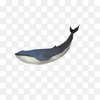 几何动物-空若网 几何动物-空若网