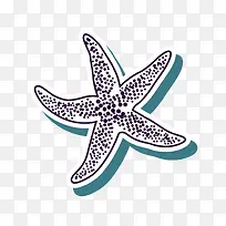 海星-空若网 海星-空若网