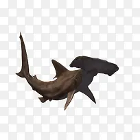 3D��������-������