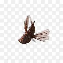 卡通生物-空若网 卡通生物-空若网