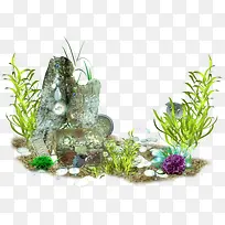 海草-空若网 海草-空若网