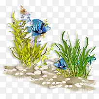 海草-空若网 海草-空若网