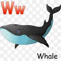 卡通鲸鱼-空若网 卡通鲸鱼-空若网