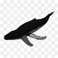 3d����3D-������