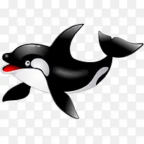 可爱海豚-空若网 可爱海豚-空若网