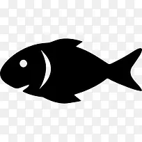 生鱼图标-空若网 生鱼图标-空若网
