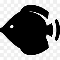 海洋鱼类图标-空若网 海洋鱼类图标-空若网