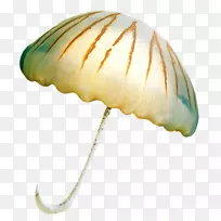 中心博客电子邮件剪辑艺术-贝壳-空若网 中心博客电子邮件剪辑艺术-贝壳-空若网