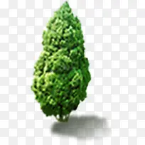 ��ɫ����ģ������-������