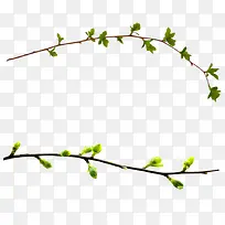 ��֦-������