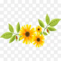 时尚黄色花朵模糊树叶-空若网 时尚黄色花朵模糊树叶-空若网