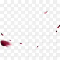 彩色模糊漂浮花瓣-空若网 彩色模糊漂浮花瓣-空若网