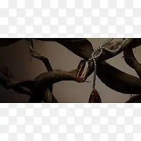 Ä£ºý²»ÇåµÄ¸ÉÊ÷Ö¦-¿ÕÈôÍø Ä£ºý²»ÇåµÄ¸ÉÊ÷Ö¦-¿ÕÈôÍø