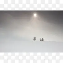 淡雅日光模糊大树-空若网 淡雅日光模糊大树-空若网