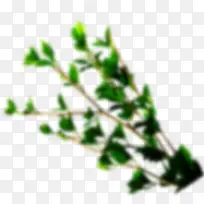 模糊的绿色树枝-空若网 模糊的绿色树枝-空若网