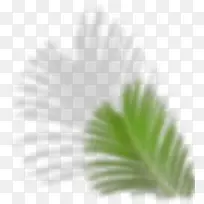 ģ�� �����Ҷ��-������