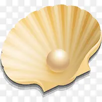 夏日贝壳创意-空若网 夏日贝壳创意-空若网