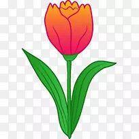 �������������ݵĲ廨����-��ͨ���ܼ�����-������