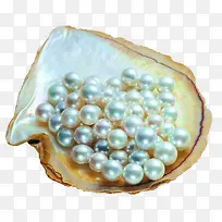 摄影白色的珍珠贝壳-空若网 摄影白色的珍珠贝壳-空若网