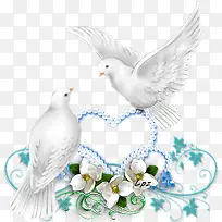 �ֻ��ɫ��������-������