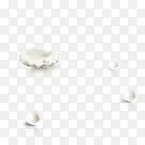 珍珠白色珍珠贝壳-空若网 珍珠白色珍珠贝壳-空若网