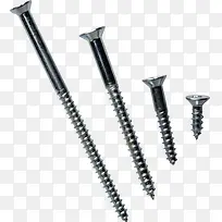 ��˿��˿��-������